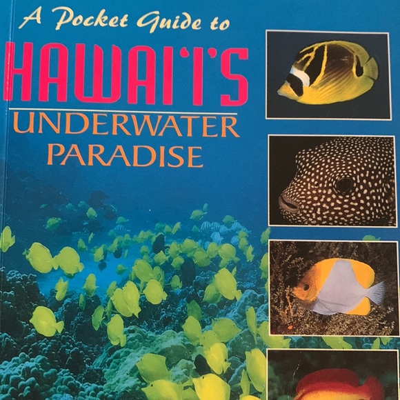 🧚🏿♂️3/$12🧚🏿♂️ Hawaiin Ocean life - Picture 3 of 7